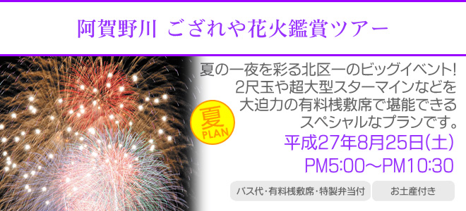 阿賀野川 ござれや花火鑑賞ツアー